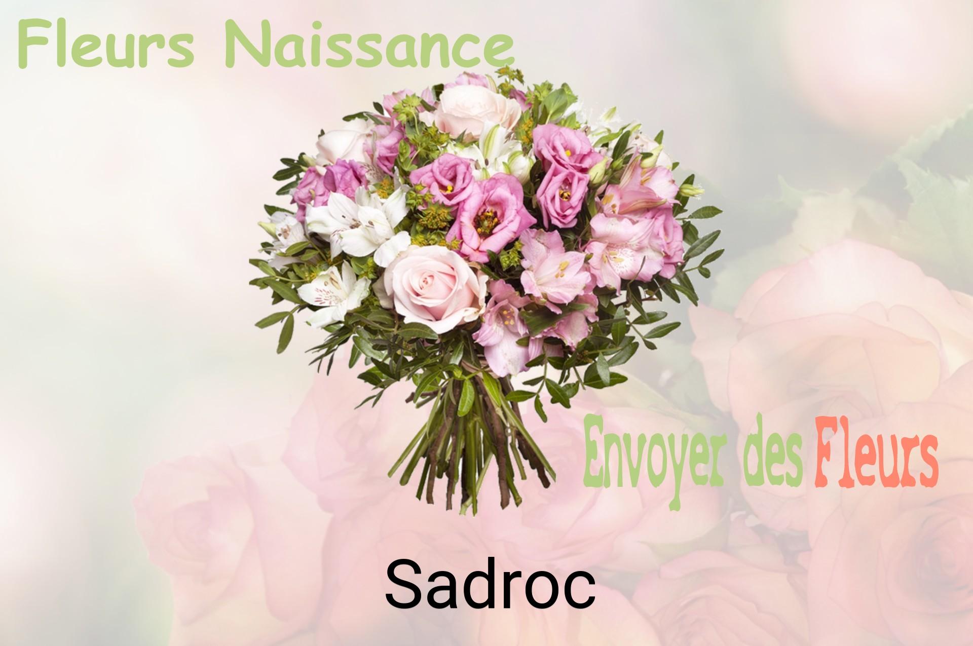 Bouquet de fleurs de naissance livré à Sadroc